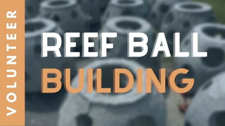Reef Ball Build (2)