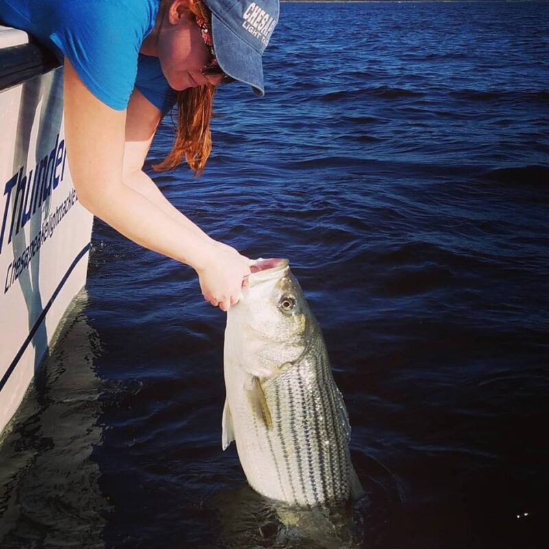 woman catching striped bass