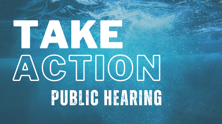 Take Action - Public Hearing