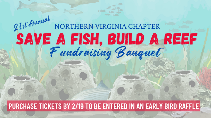 Save a Fish, Build a Reef Fundraising Banquet