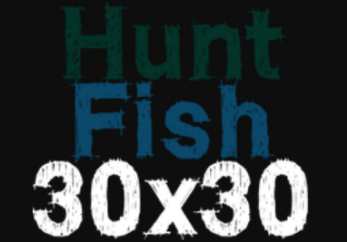 30x30 logo